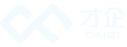 才企文化传播（上海）有限公司
